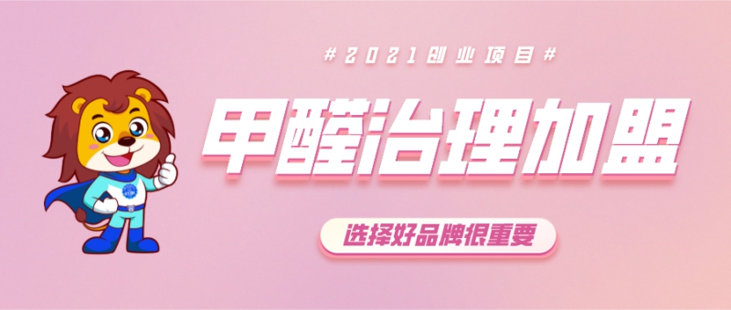 加盟甲醛治理公司哪个好
