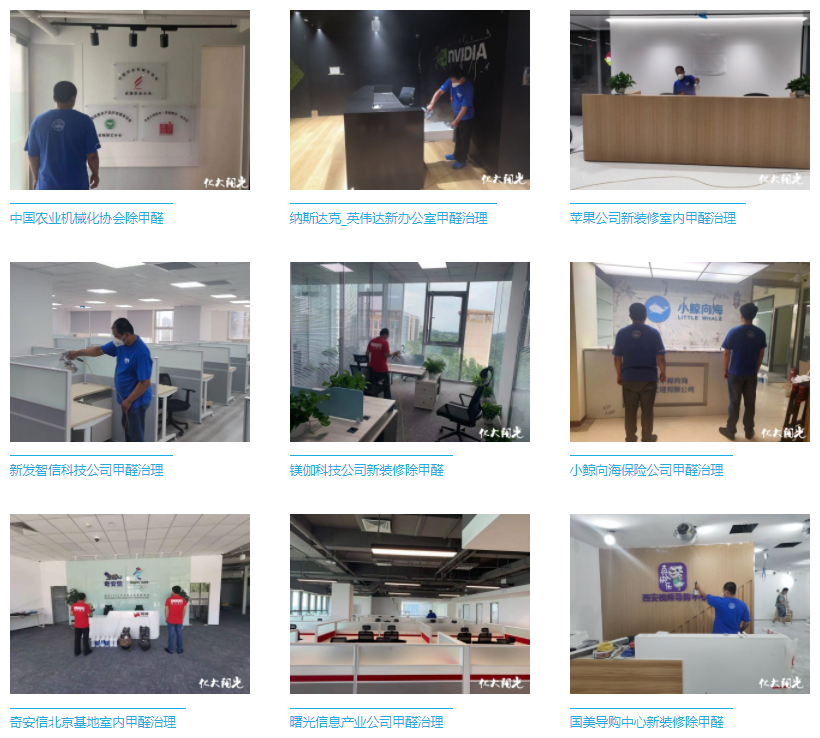 办公室除甲醛金彩汇集锦展示