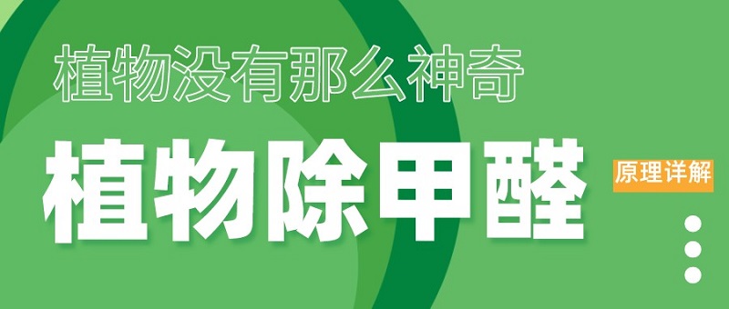 植物除甲醛原理