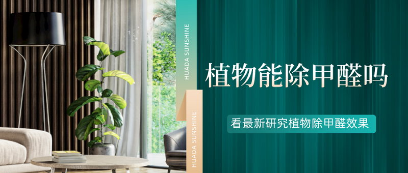 植物能有效祛除装修后的甲醛污染吗?