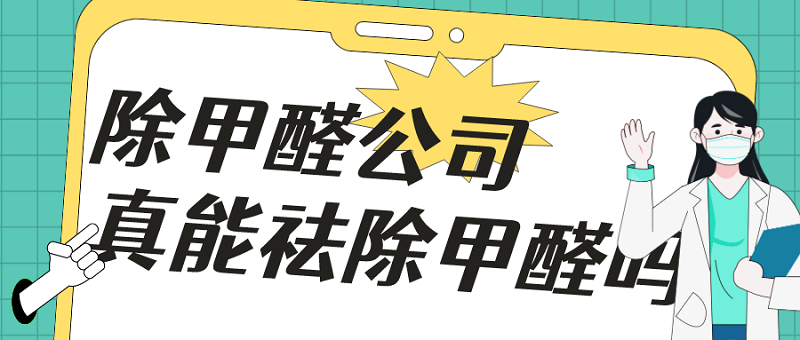 除甲醛公司真的能除甲醛吗
